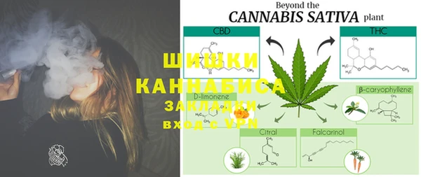 стаф Балахна