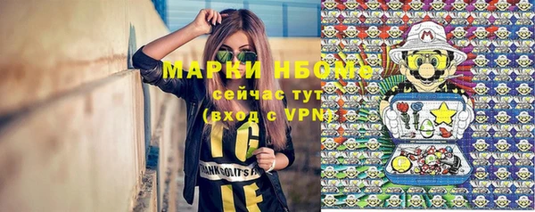 стаф Балахна
