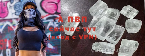 стаф Балахна