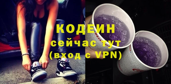 стаф Балахна